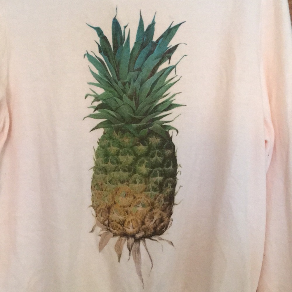 Super cute Pineapple print WILDFOX sweatshirt 🍍🍍 - Picture 2 of 3